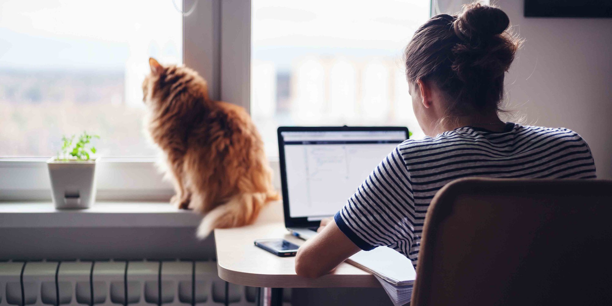 Kvinna framför bärbar dator och katt i fönstret.