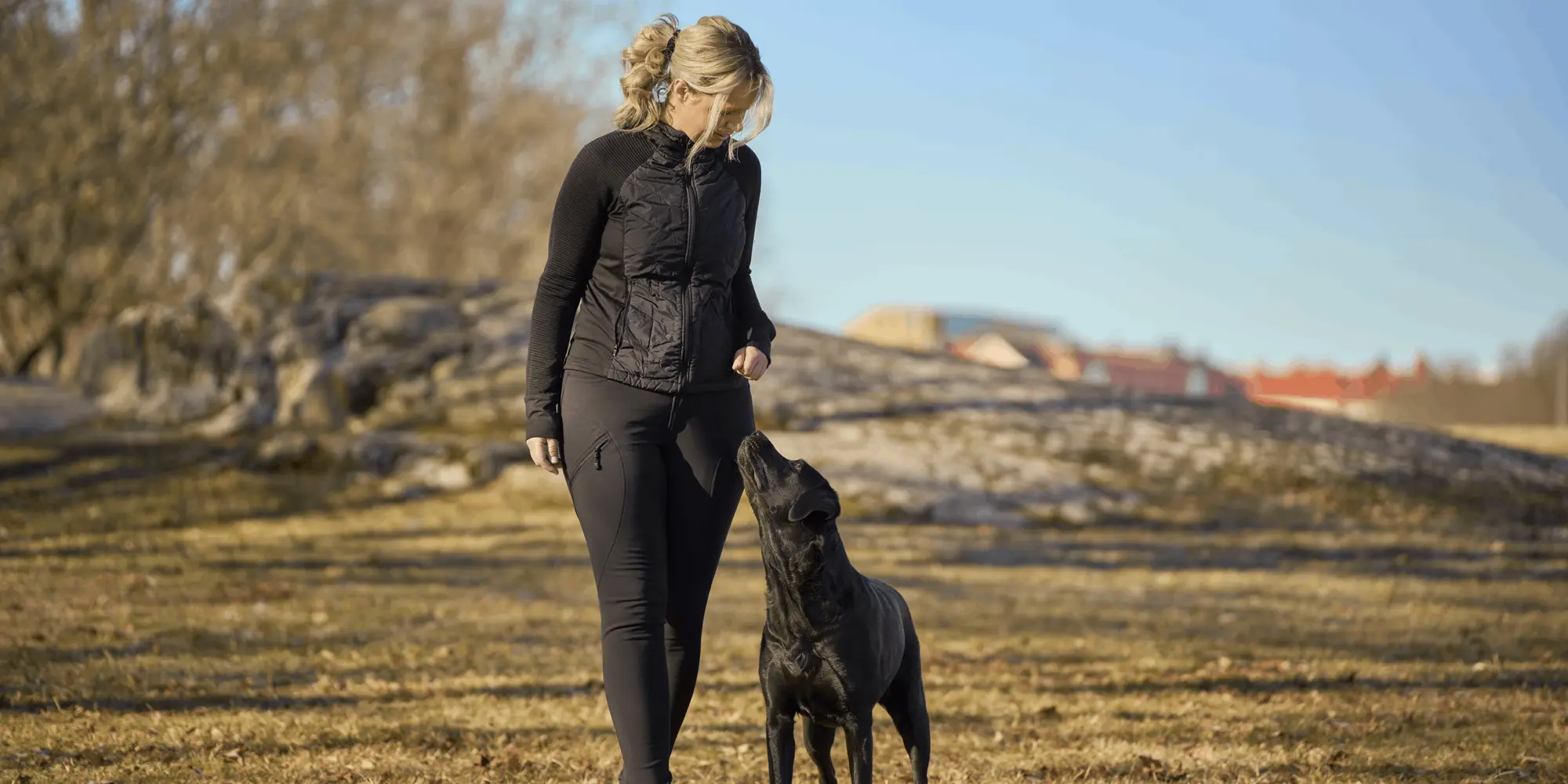 Deltagare på hundkurs tränar sin hund i lydnad utomhus en solig dag.