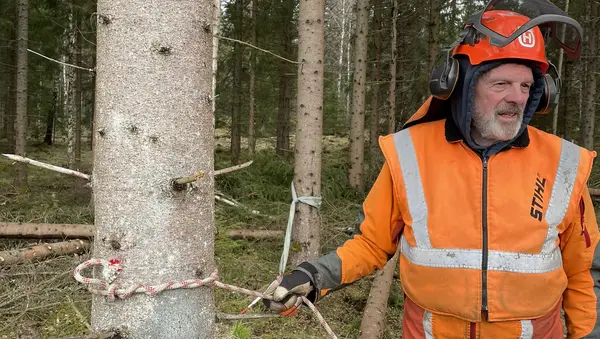 Georg håller kurser som leder fram till motorsågskörkort