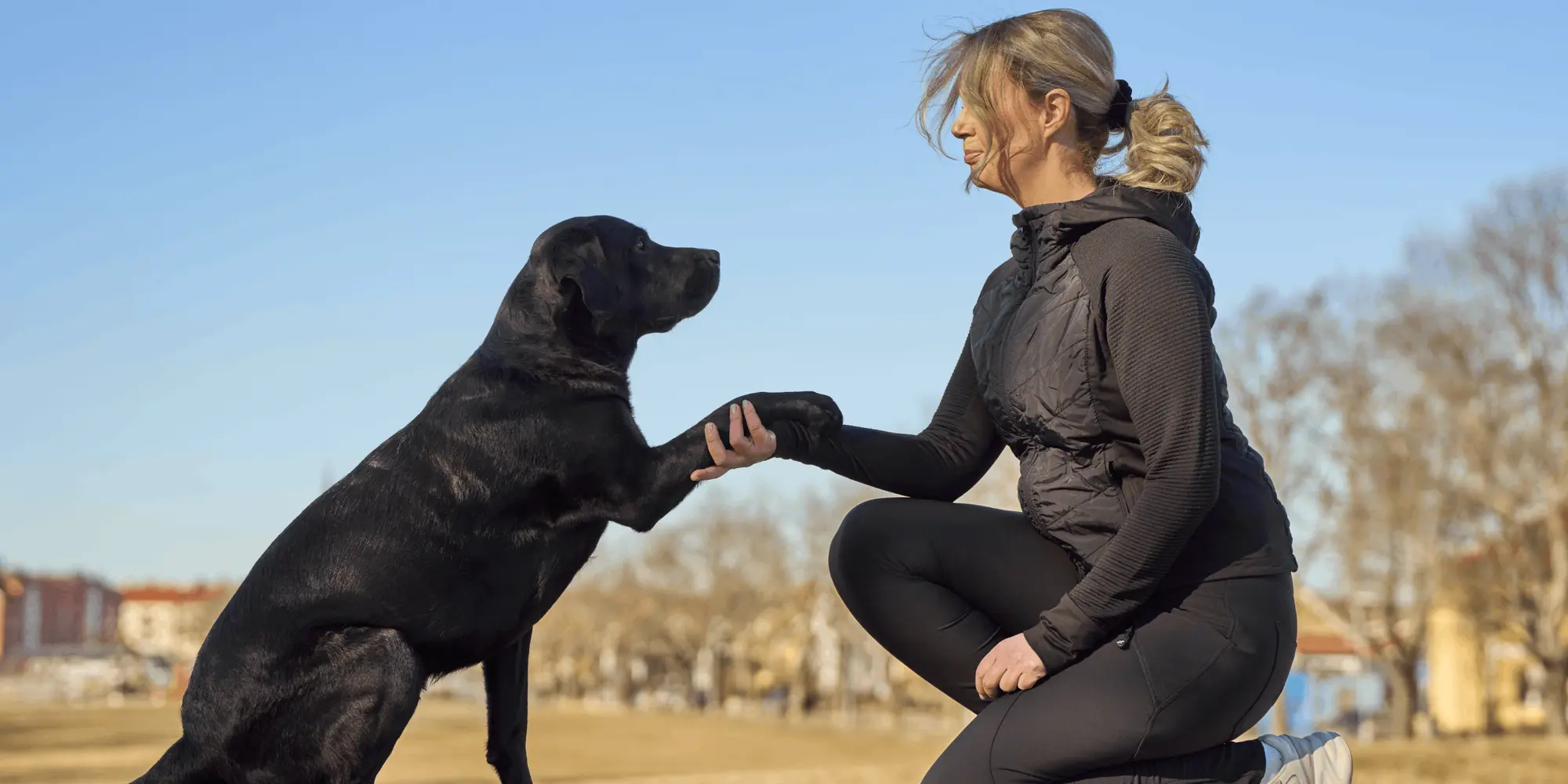 Kvinna i svart träningskläder tränar sin svarta hund genom att skaka tass ute i en park