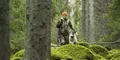 Person i kamouflagekläder och orange mössa går med en hund i en mossig granskog.