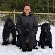 Therese leder hundkurser på Medborgarskolan