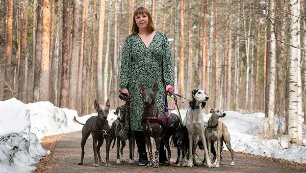 Kursledare Emmy Holmlund med sina åtta hundar