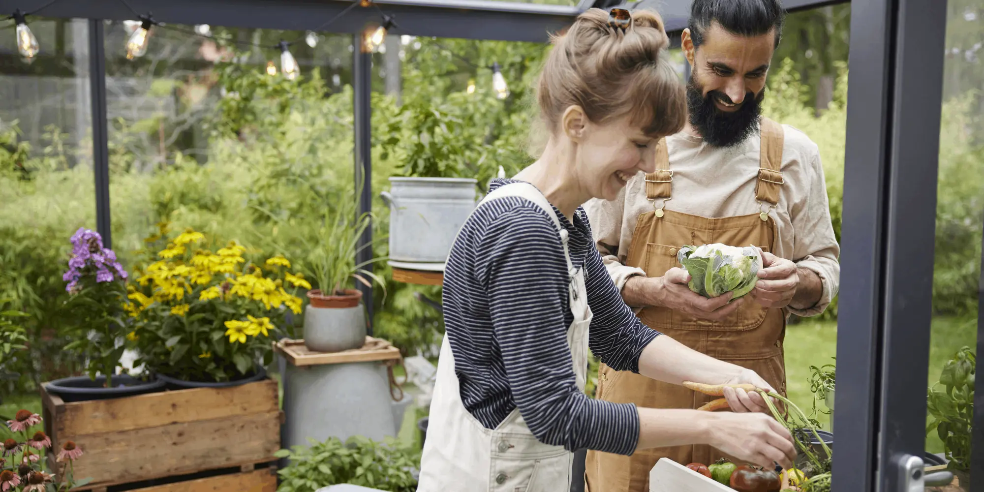 Leende par skördar grönsaker i ett växthus omgivet av blommor och växter, båda iklädda snickarbyxor